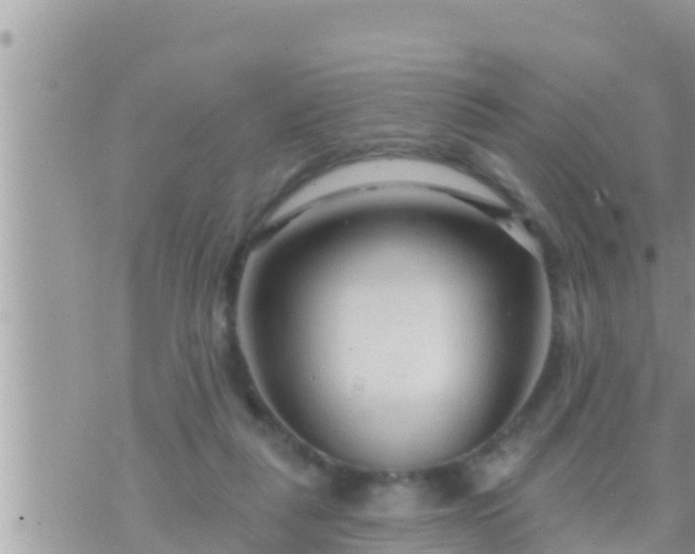 X0000073760259200608102053