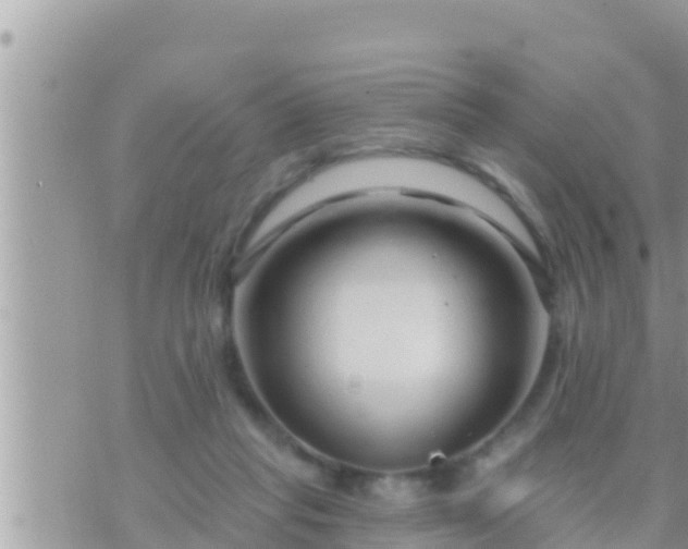 X0000073760261200608102053