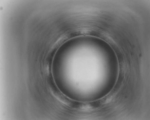 X0000073760262200608102053