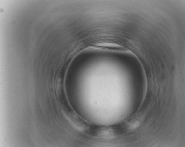 X0000073760263200608102053