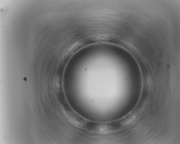 X0000073760264200608102053