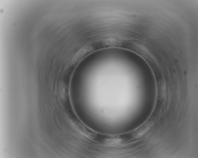 X0000073760266200608102053