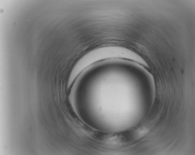 X0000073760267200608102053