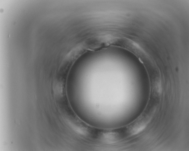 X0000073760268200608102053