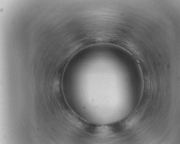 X0000073760269200608102053