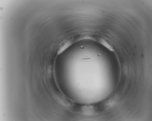 X0000073760271200608102053