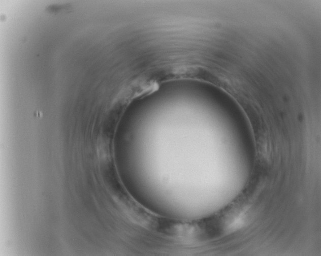 X0000073760272200608102053