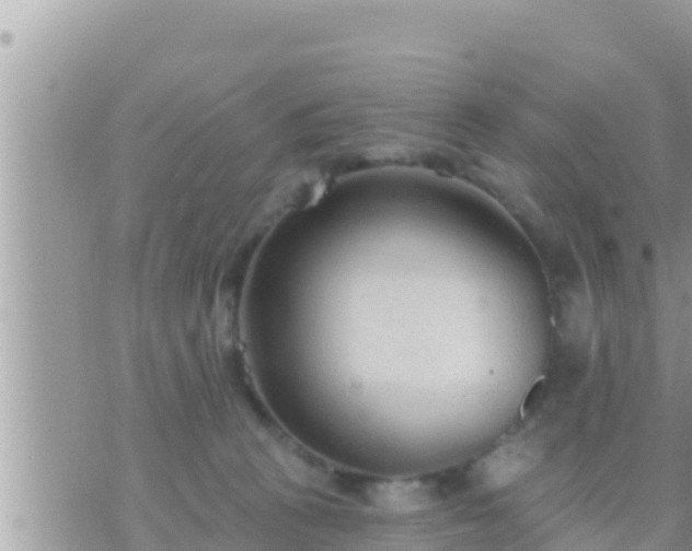 X0000073760273200608102053