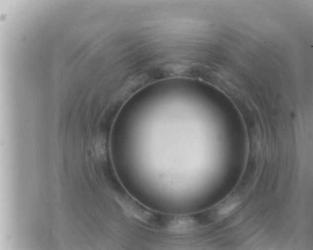 X0000073760274200608102053