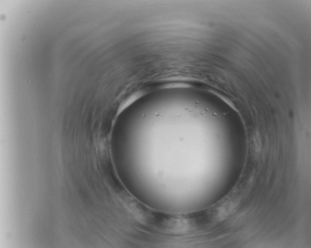 X0000073760276200608102053