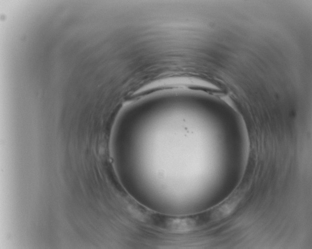 X0000073760277200608102053