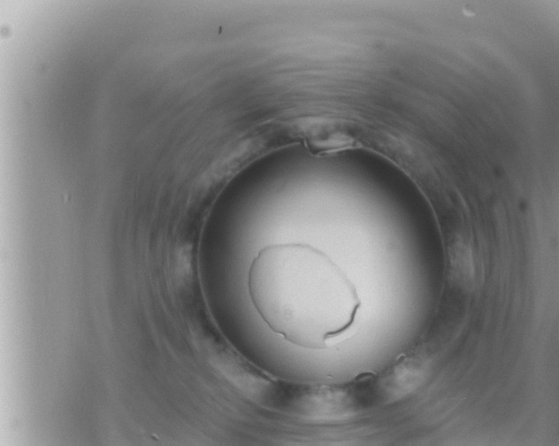 X0000073760278200608102053