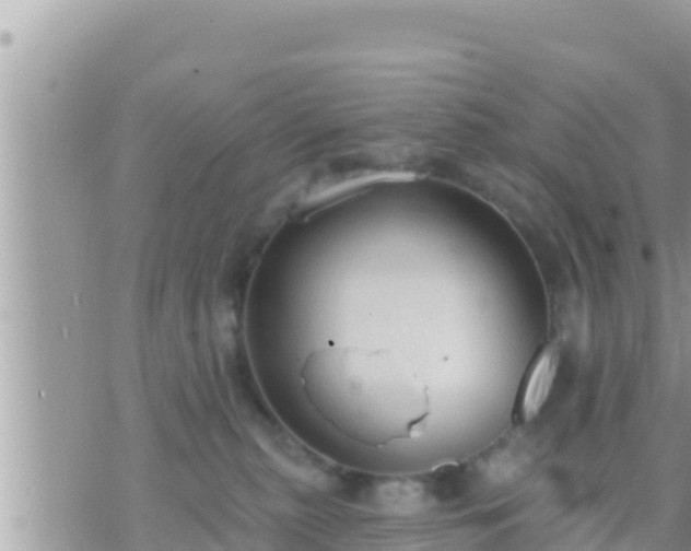 X0000073760279200608102053