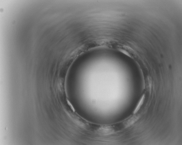 X0000073760280200608102053