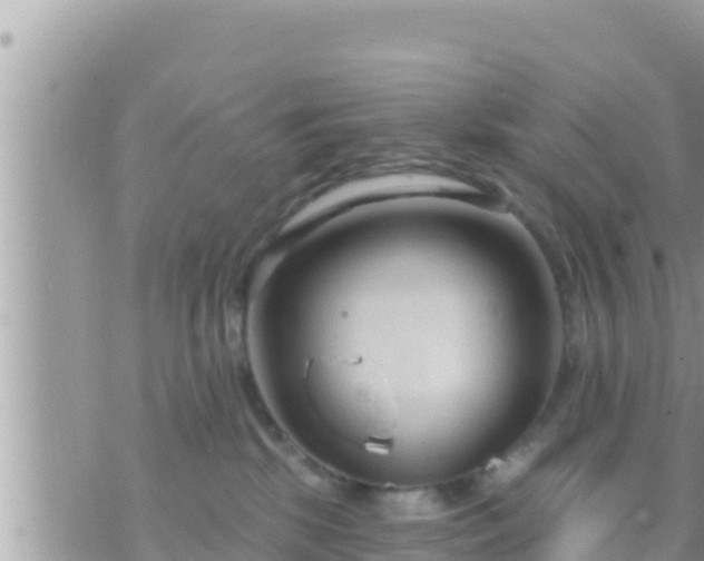 X0000073760281200608102053