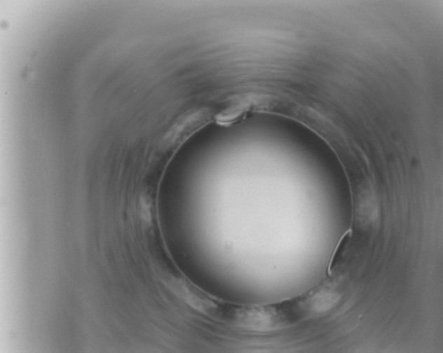 X0000073760282200608102053