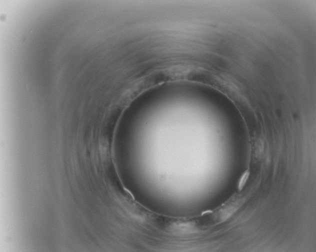 X0000073760283200608102053