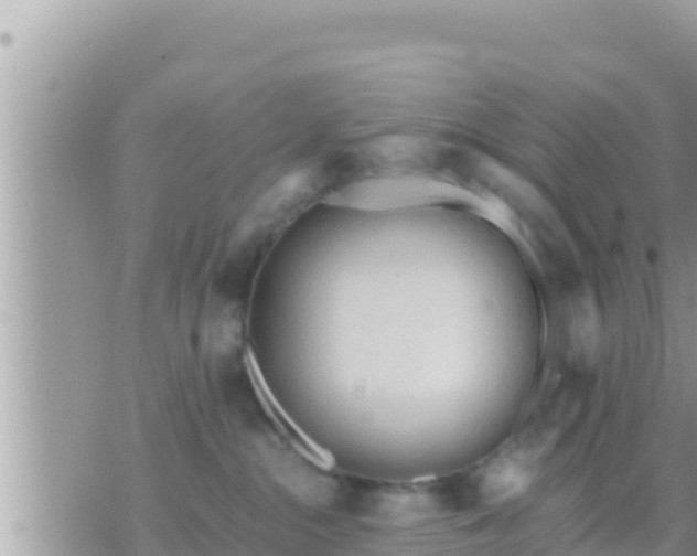 X0000073760284200608102053