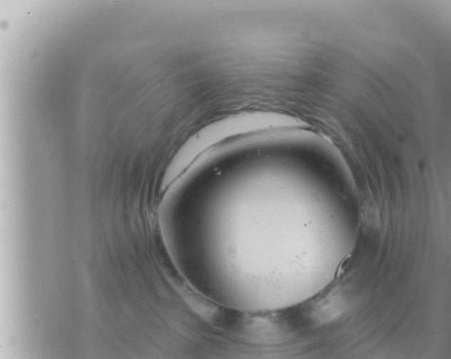 X0000073760285200608102053