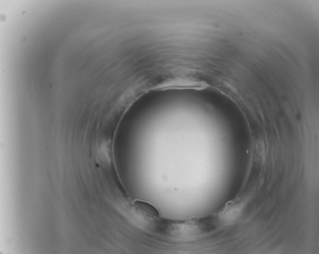 X0000073760286200608102053