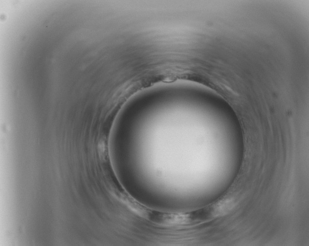 X0000073760288200608102053