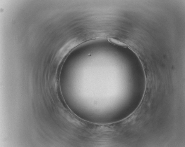 X0000073760290200608102052