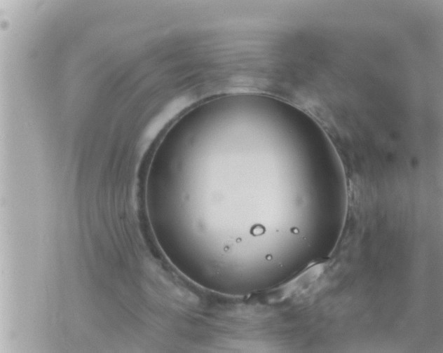 X0000073760292200608102052