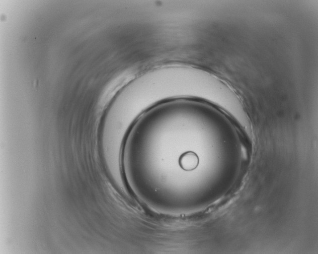 X0000073760293200608102052