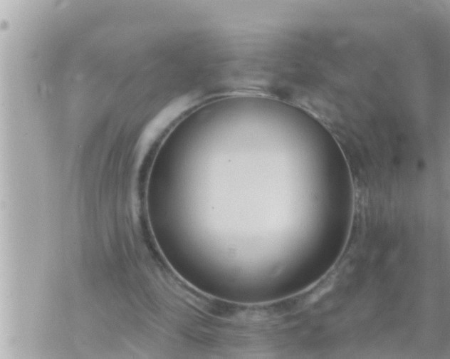 X0000073760294200608102052