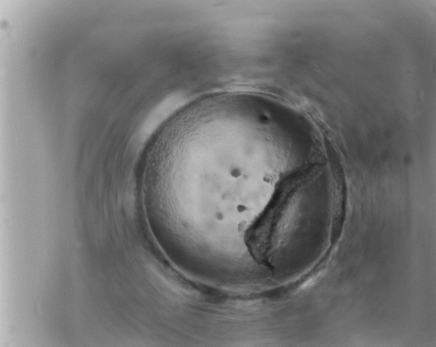 X0000073760295200608102052