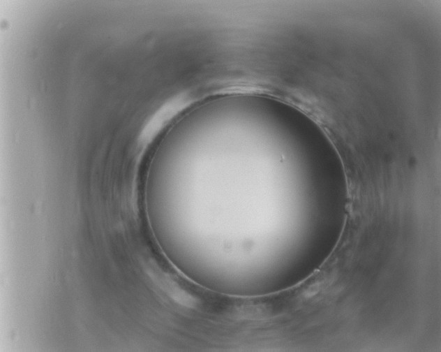 X0000073760296200608102052