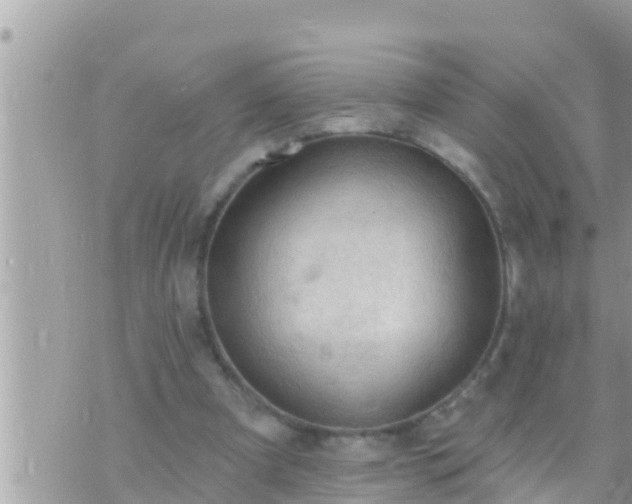 X0000073760297200608102052