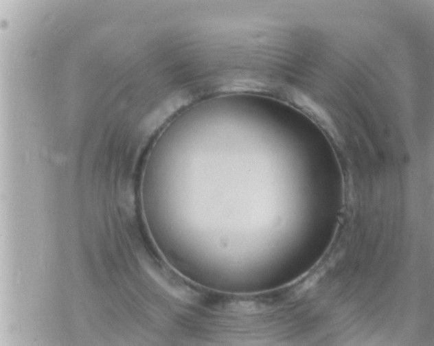 X0000073760298200608102052