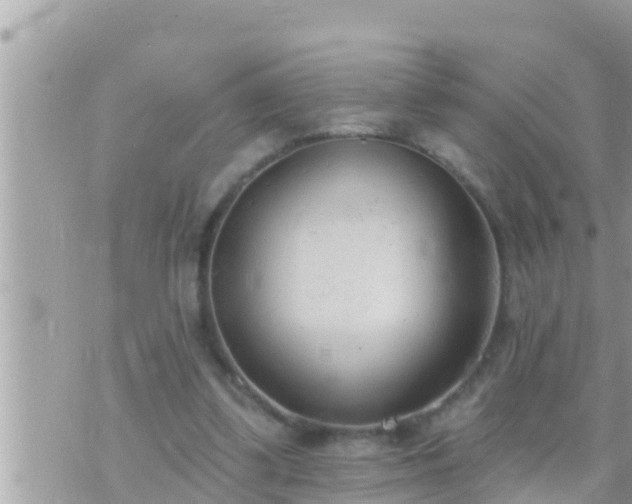 X0000073760299200608102052