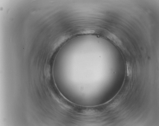 X0000073760300200608102052