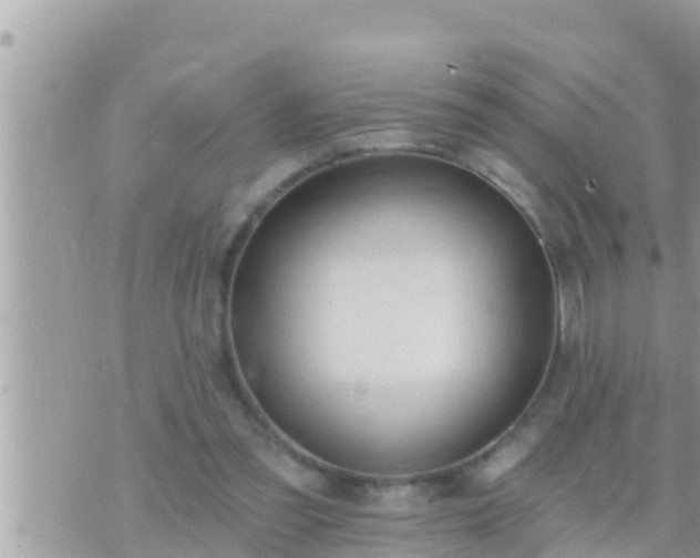 X0000073760301200608102052