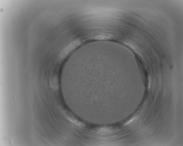 X0000073760303200608102052