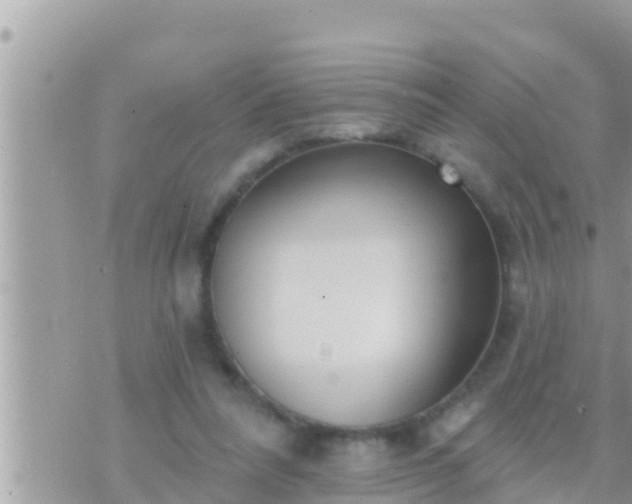 X0000073760304200608102052