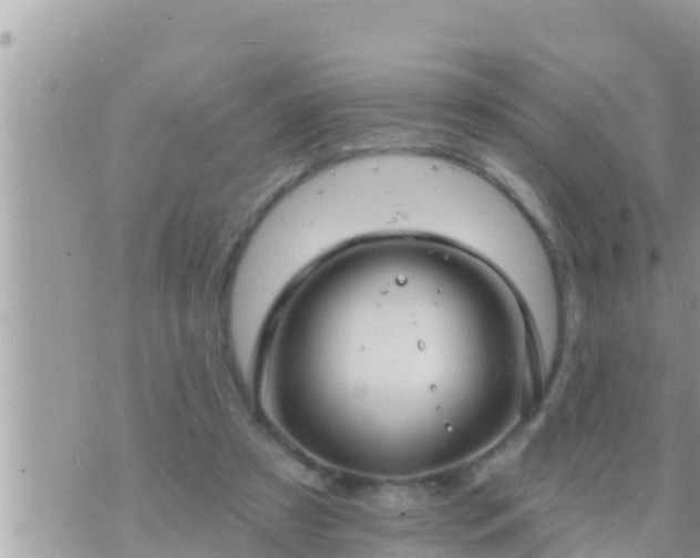 X0000073760305200608102052