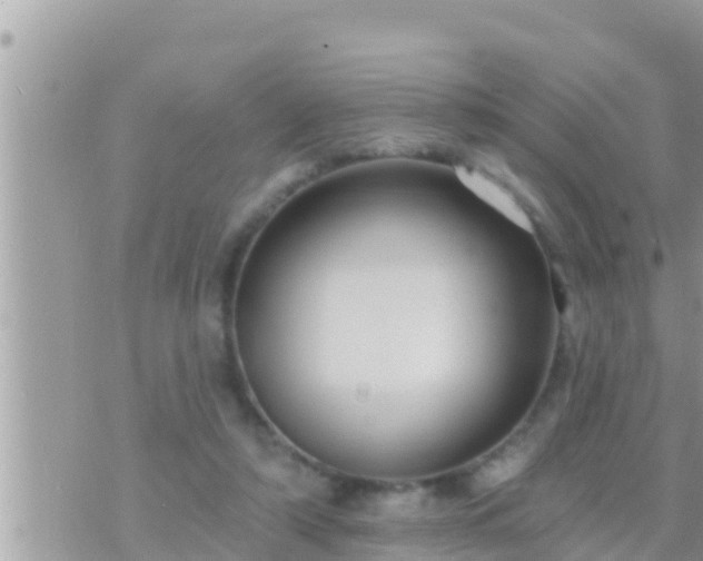 X0000073760306200608102052