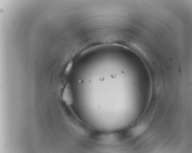 X0000073760307200608102052