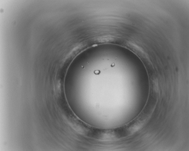 X0000073760308200608102052