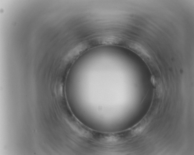 X0000073760310200608102052