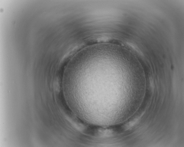 X0000073760311200608102052