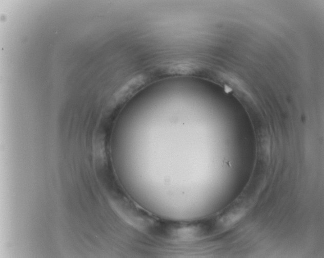 X0000073760312200608102052