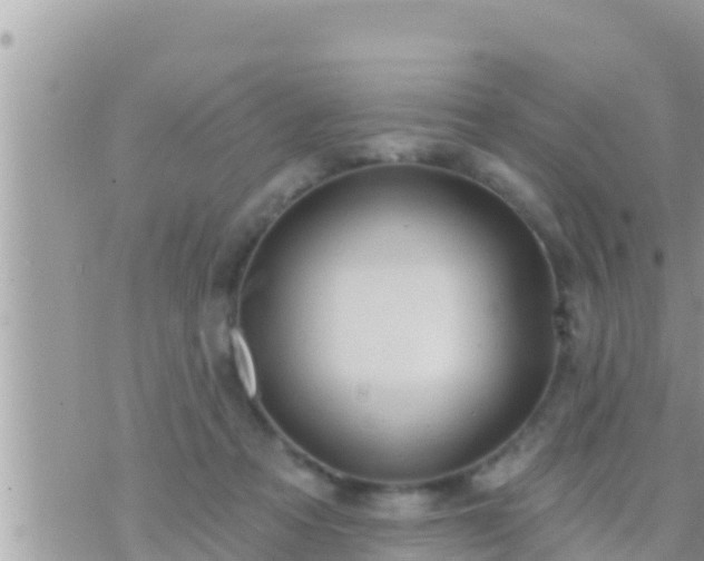 X0000073760313200608102052