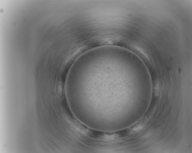 X0000073760314200608102052