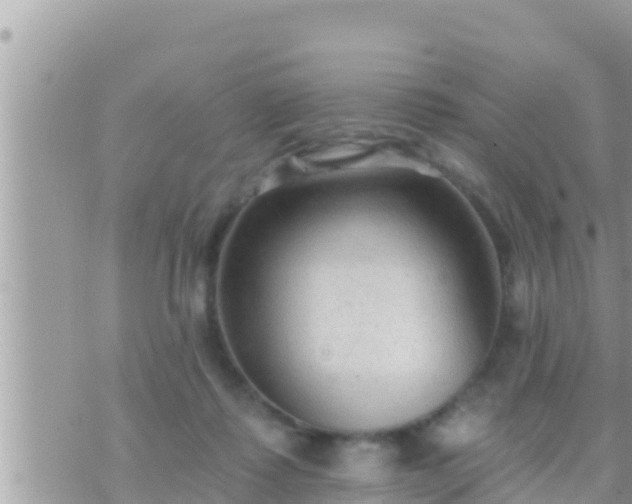 X0000073760315200608102052