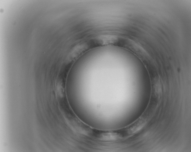 X0000073760316200608102052