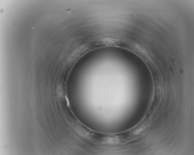 X0000073760317200608102052